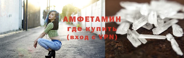 мет Алексин
